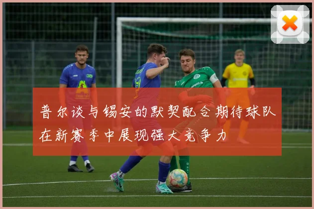 普尔谈与锡安的默契配合期待球队在新赛季中展现强大竞争力