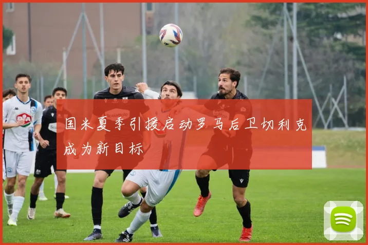 国米夏季引援启动罗马后卫切利克成为新目标