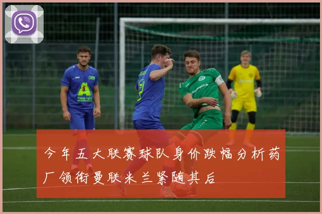今年五大联赛球队身价跌幅分析药厂领衔曼联米兰紧随其后